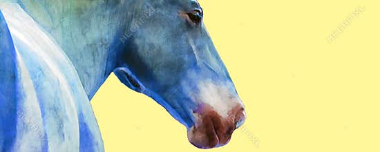 Watercolor painting portrait of a horse isolated on a yellow background