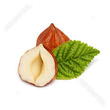 Hazelnut