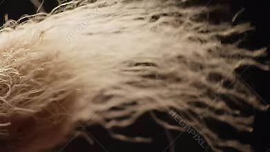 Blond Hair Texture