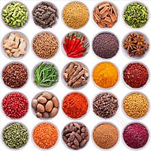 Large collection of different spices and herbs