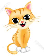 Cute cat