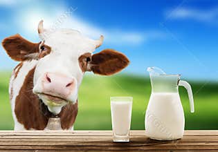 Cow and milk