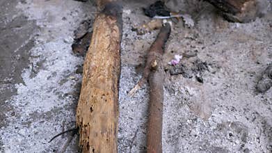 Burnt Wood and Ashes Close-up