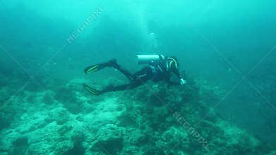 Man diver captures view of small fishes with action camera