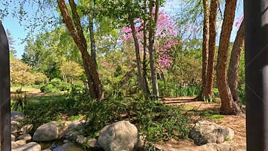footage along a winding dirt path in the garden with lush green trees and colorful flowers at Descanso Gardens