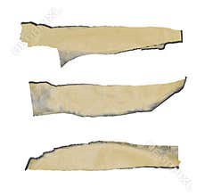 Tear off pieces of tape with black borders isolated on white background