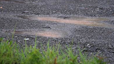 Raindrops falling gently on the ground, creating small ripples and puddles.