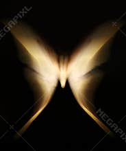 Abstract of a butterfly with zoom