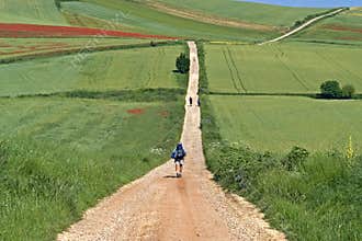 Camino Frances hiking pilgrims in rural landscape