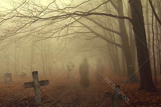 Spooky cemetery in forest