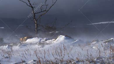 A scene depicting a rocky mountainside with bare trees, a snowstorm, and windy