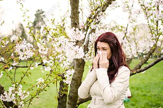 Pollen allergy