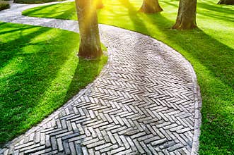 Paved footpath in spring park