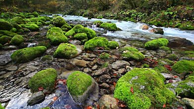 Fresh clean river from the mountains in fall