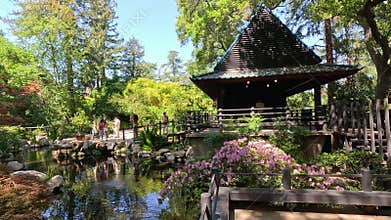footage of a gorgeous spring landscape with a pond, lush green trees and flowers at Descanso Gardens La Canada Flintridge