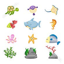 Marine life