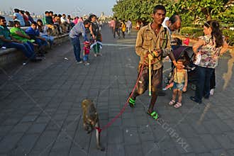 Monkey Player
