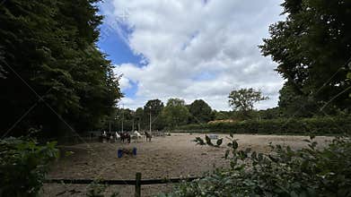 Horses standing and grazing in fenced sandy paddock with dense trees and