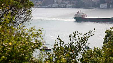 Scenic Istanbul Bosphorus View Through Green Trees