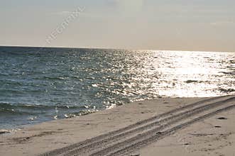 Shoreline ATV Tracks
