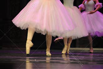 Ballet skirt