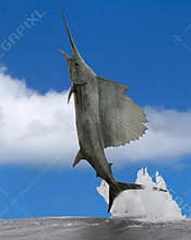 Sailfish