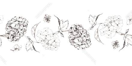Romantic hydrangea, elderberry flower, viburnum pompoms with delicate pencil sketch lines. Seamless hand drawn floral
