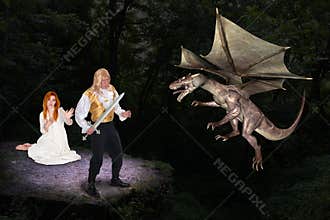 Handsome Prince Save Fair Maiden From Evil Dragon