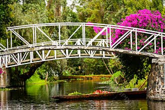 Colourful Mexico Xochimilco's Floating Gardens in Mexico City.