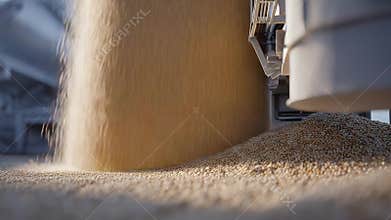 Grain pouring from industrial silo onto ground