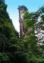 Forests mountain view