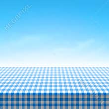 Empty picnic table covered with blue checkered tablecloth