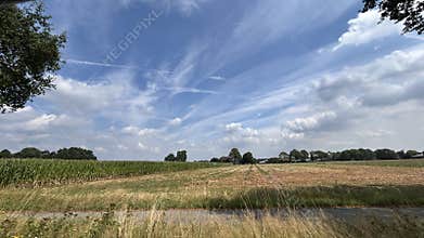 Wide rural farmland with cornfield, harvested field, grassy roadside foreground