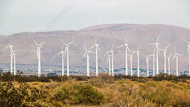 San Gorgonio Pass Wind Farm 2