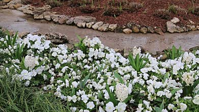Spring landscapes design in arboretum
