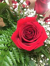 Bright bouquet of spring flowers featuring a red rose