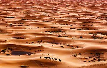 Desert
