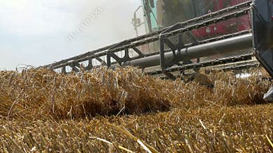 Combine Harvester - Powerful Machine