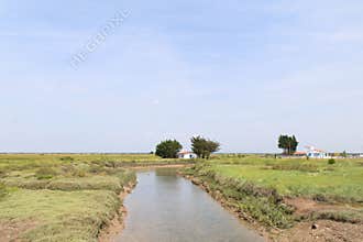 Landscape Charente-Maritime with canal
