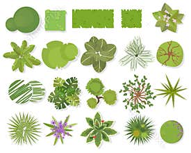 Trees top view.Different trees, plants vector set for architectural or landscape design.Landscaping symbols set isolated on white