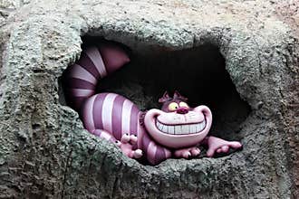 Cheshire Cat, Disneyland.