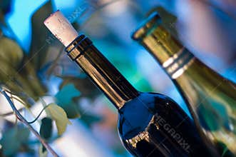 Two wine bottles