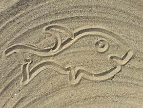 Fish draw on the sand