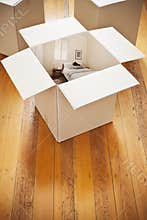 Home Moving Renovations Box Bedroom