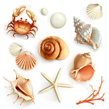 Seashells vector icons