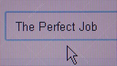 JOB HUNTING ONLINE - ECU User types 'The Perfect Job'