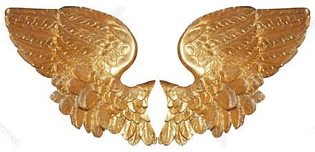 Isolated pair of aureate angel wings