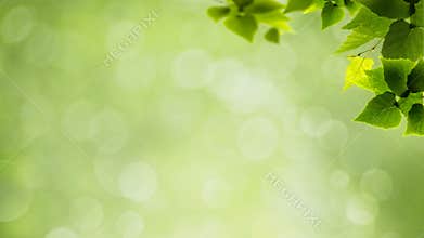Abstract natural backgrounds