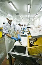Skillful fish cutter