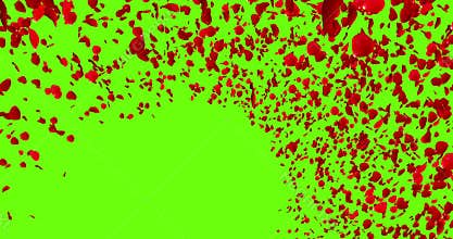 3d animation red rose petals flying with vortex on chroma key, green screen background